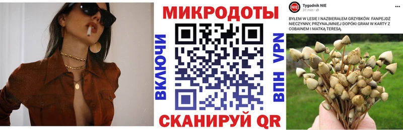 Псилоцибиновые грибы прущие грибы  где продают   Новоульяновск 