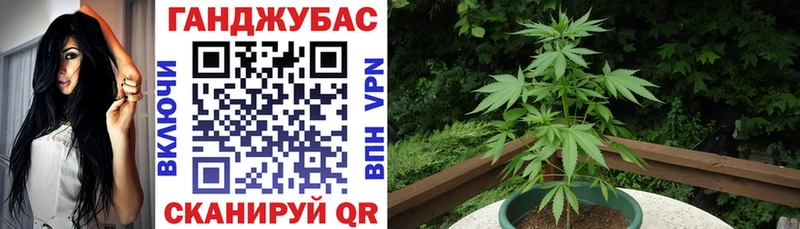 мориарти формула  Новоульяновск  Канабис семена 